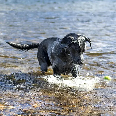 2 Bed In High Sz136 Tatil Evi *