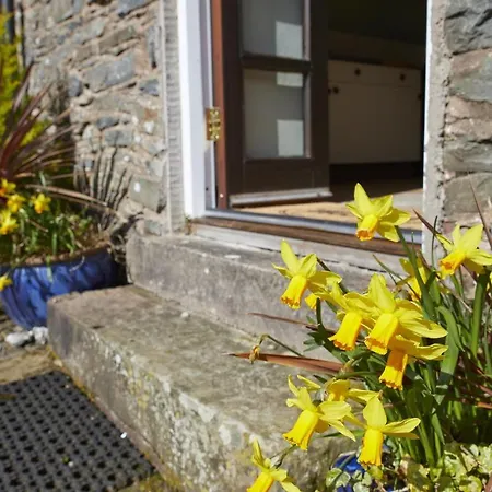 Tatil Evi 2 Bed In High Sz136