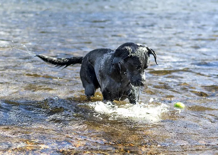Holiday home 2 Bed In Cockermouth Oc-sz136 *